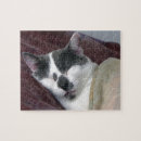 Pesquisar por napping Amante do gato