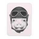 Pesquisar por leitão imas Fazenda