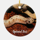 Pesquisar por réptil ornamentos Animal