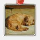 Pesquisar por cocker spaniel ornamentos Canino