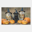 Pesquisar por gato preto adesivos Corujas