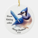Pesquisar por jay ornamentos Natal