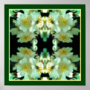 Pesquisar por desenfreado Natureza