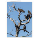 Pesquisar por ancestrais cartoes Genealogia