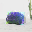 Pesquisar por violetas africanas cartoes Cartas