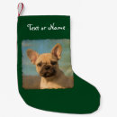 Pesquisar por filhotes meias de natal For pets