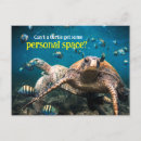 Pesquisar por tartaruga cartoes Submarino