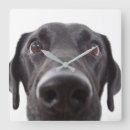 Pesquisar por dogs relogios de parede Portrait