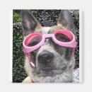 Pesquisar por rádios imas Legal