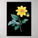 Pesquisar por amarelo e preto pósteres pôsteres Vintage