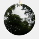 Pesquisar por árvore assustador ornamentos Floresta