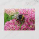 Pesquisar por bumble cartao de visita Moderno