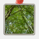 Pesquisar por ecológico ornamentos Verde