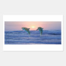 Pesquisar por golfinho amor adesivos Natureza