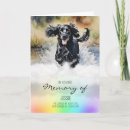 Pesquisar por o de cocker spaniel cartoes For pets