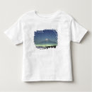 Pesquisar por monte fuji camisetas Nuvens