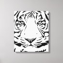 Pesquisar por gato branco impressão de canvas Amantes de os animais