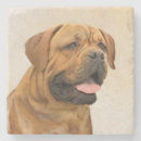 Pesquisar por arte de dogue de bordéus Animal de estimação