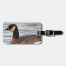 Pesquisar por ganso bagagem tags Natureza