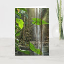 Pesquisar por cascata cartoes Aquarela