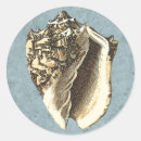 Pesquisar por sombreado adesivos Casca