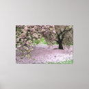 Pesquisar por cerejeira impressão de canvas Árvore
