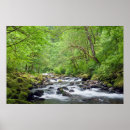 Pesquisar por desfiladeiro pôsteres Paisagem