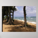 Pesquisar por kauai pôsteres Costa