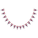 Pesquisar por bandeira branca e azul vermelha bandeirinhas Listras