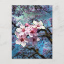 Pesquisar por flor de cerejeira cartoes Primavera