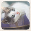 Pesquisar por cama em cama porta copos Dentro