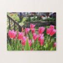 Pesquisar por flor da tulipa Tulipas