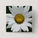 Pesquisar por floral branco verde botons Margarida
