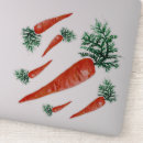 Pesquisar por vegetais adesivos cenoura