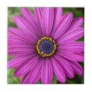 Pesquisar por cabeça azulejos Cabeça de flor