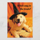 Pesquisar por pup convites Animais