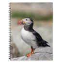 Pesquisar por puffin cadernos de notas Natureza