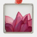 Pesquisar por flor de lótus ornamentos Pétala