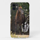Pesquisar por morgan Cavalo