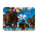 Pesquisar por cozumel imas Cruzeiro