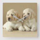 Pesquisar por dois animais relogios de parede Cachorrinho