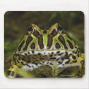 Pesquisar por massachusetts laptop acessorios Natureza