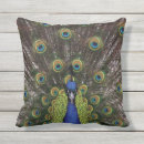 Pesquisar por penas da galinha almofadas Pássaro