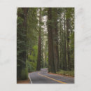 Pesquisar por fora da estrada cartoes postais Vertical