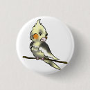 Pesquisar por cockatiel Budgie