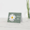 Pesquisar por shasta daisy cartoes Obrigado