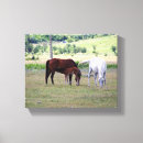 Pesquisar por potros impressão de canvas Animal