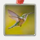 Pesquisar por lado ornamentos Humor