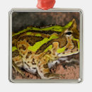 Pesquisar por brasileiro ornamentos Um