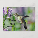 Pesquisar por beija flor cartoes Rosa